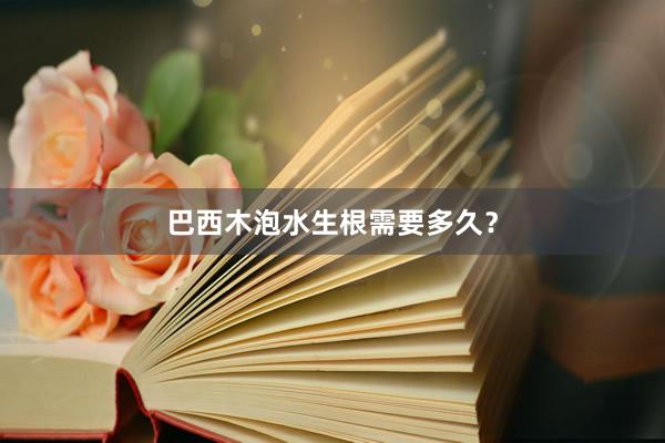 巴西木泡水生根需要多久？